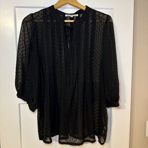 Chic Black Sheer Blouse